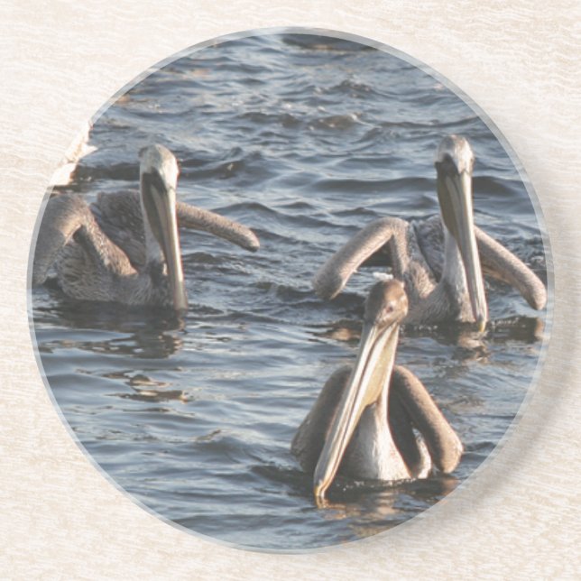 Posavasos Práctico de costa de los pelícanos (Frente)