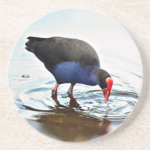 Posavasos Práctico de costa de Pukeko