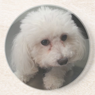 Posavasos práctico de costa de Zoe