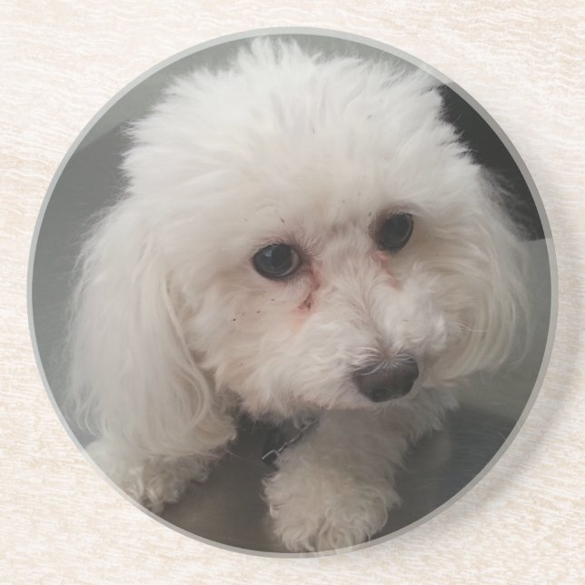 Posavasos práctico de costa de Zoe (Frente)