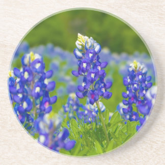 Posavasos Práctico de costa del Bluebonnet de Tejas