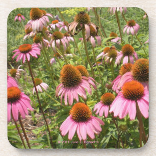 Posavasos Práctico de costa del corcho de Coneflowers