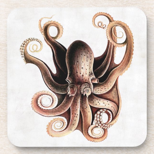 Posavasos Práctico de costa del corcho del pulpo (Frente)
