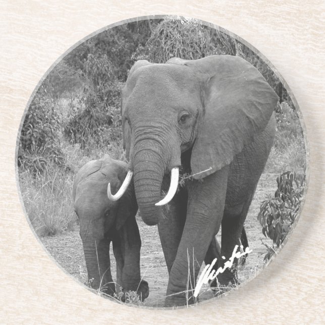 Posavasos Práctico de costa del elefante y del becerro (Frente)