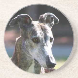 Posavasos Práctico de costa del galgo