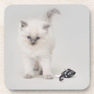 Posavasos Práctico de costa del gatito de Ragdoll del