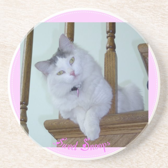 Posavasos Práctico de costa del gato del gatito (Frente)