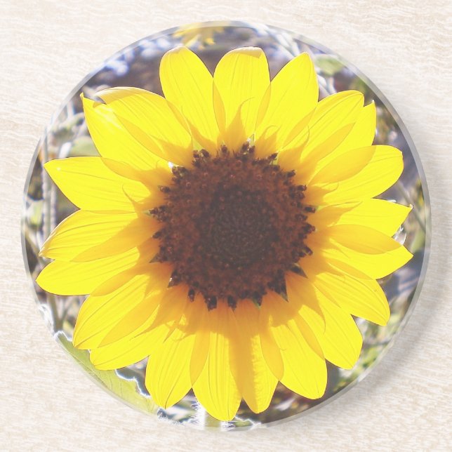 Posavasos Práctico de costa del girasol (Frente)