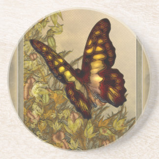 Posavasos Práctico de costa del ilustracion de la mariposa