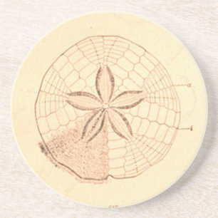 Posavasos Práctico de costa del ilustracion del dólar de