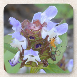 Posavasos Práctico de costa del insecto