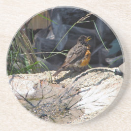 Posavasos Práctico de costa del petirrojo