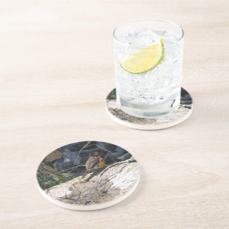 Posavasos Práctico de costa del petirrojo