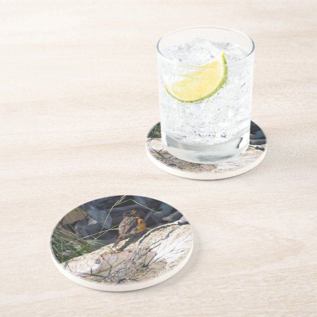 Posavasos Práctico de costa del petirrojo (Lado)