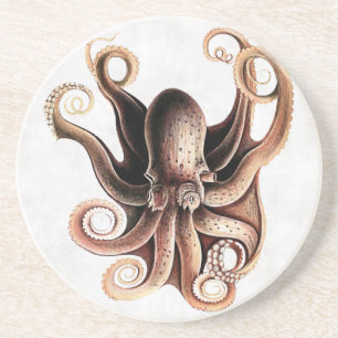 Posavasos Práctico de costa del pulpo