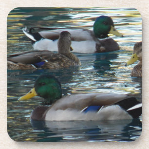 Posavasos Práctico de costa fijado - pato, pato, pato, pato