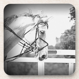 Posavasos Práctico de costa gris del caballo