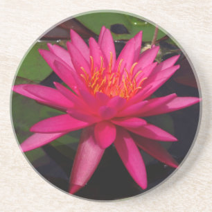 Posavasos Práctico de costa - lirio de agua rosado