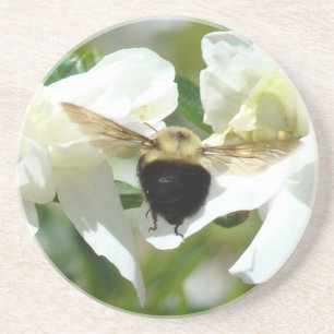 Posavasos Práctico de costa ocupado de Bee'n