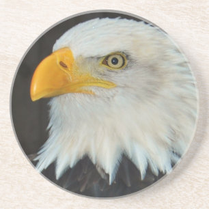 Posavasos Práctico de costa principal de Eagle