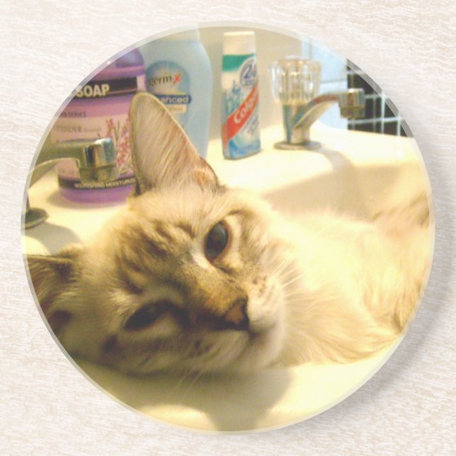 Posavasos práctico de costa relajado del gatito (Frente)