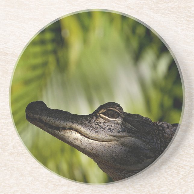 Posavasos Práctico de costa sombrío del cocodrilo (Frente)