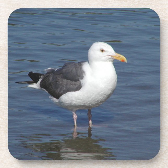 Posavasos Práctico de costa valiente de la gaviota que vadea (Frente)