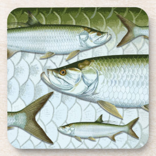 Posavasos Prácticos de costa atlánticos del tarpón