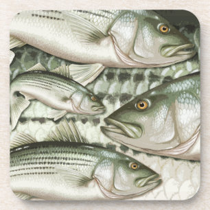 Posavasos Prácticos de costa de la lubina rayada (Striper)