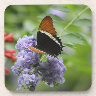 Posavasos Prácticos de costa de la mariposa