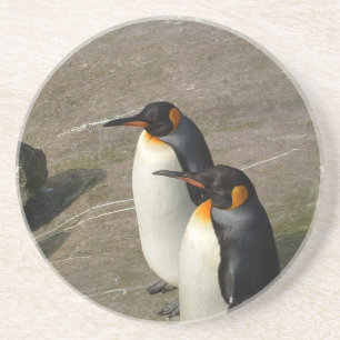 Posavasos Prácticos de costa de los pares del pingüino