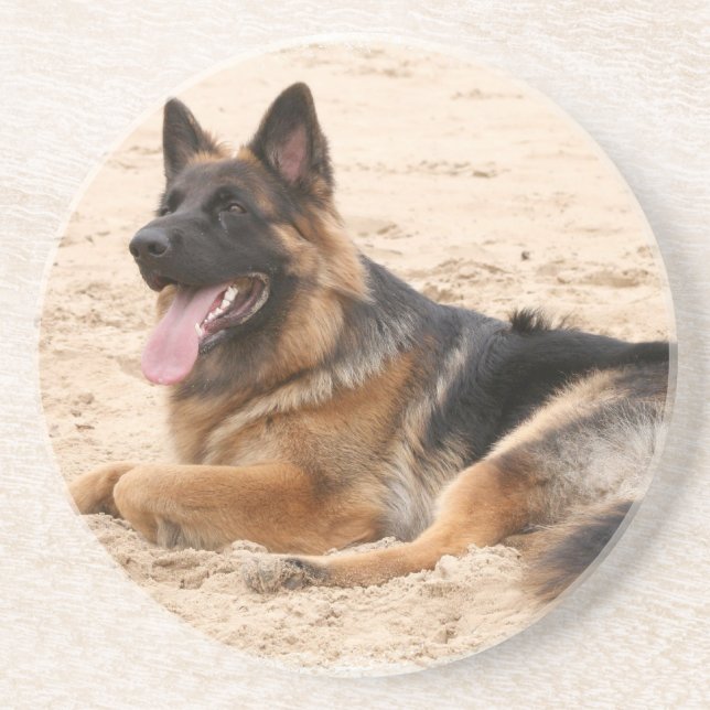 Posavasos Prácticos de costa de reclinación del perro de (Frente)