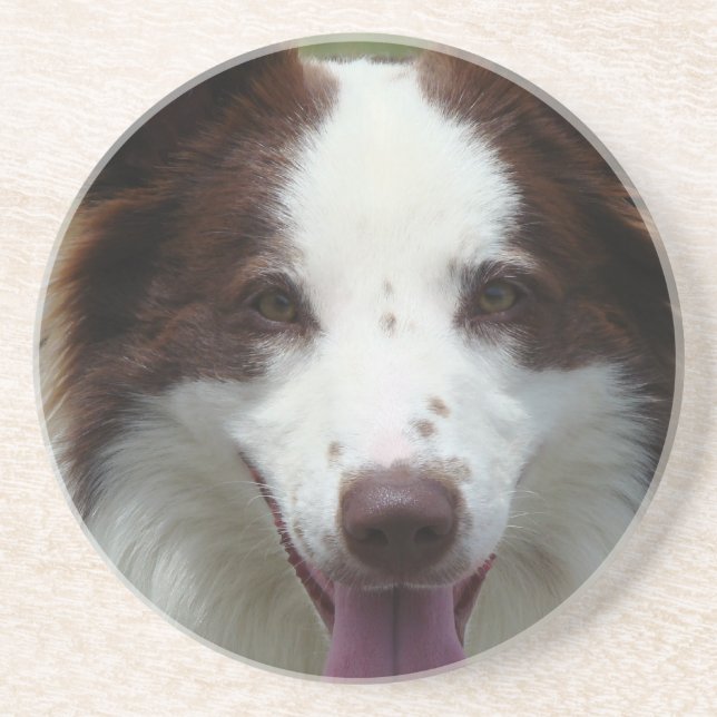Posavasos Prácticos de costa del border collie (Frente)