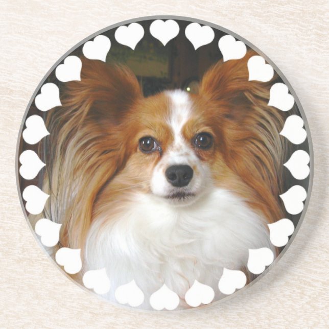 Posavasos Prácticos de costa del perro de Papillon (Frente)