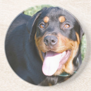 Posavasos Prácticos de costa del perro de Rottweiler