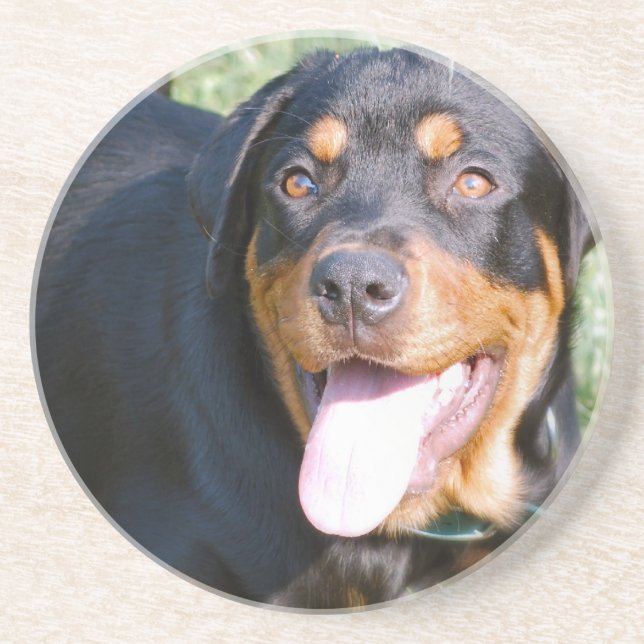 Posavasos Prácticos de costa del perro de Rottweiler (Frente)