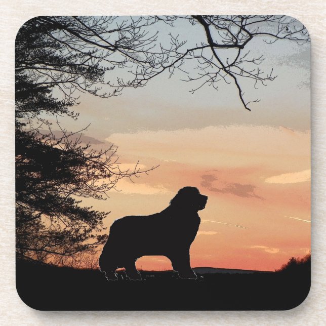 Posavasos Prácticos de costa del perro de Terranova (Frente)