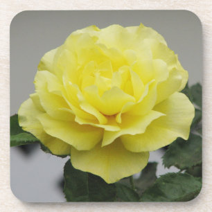 Posavasos Prácticos de costa del rosa amarillo