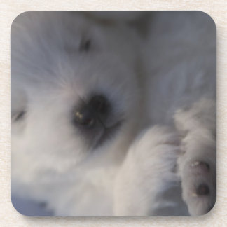 Posavasos Prácticos de costa durmientes del perrito del