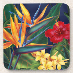 Posavasos Prácticos de costa florales hawaianos del paraís