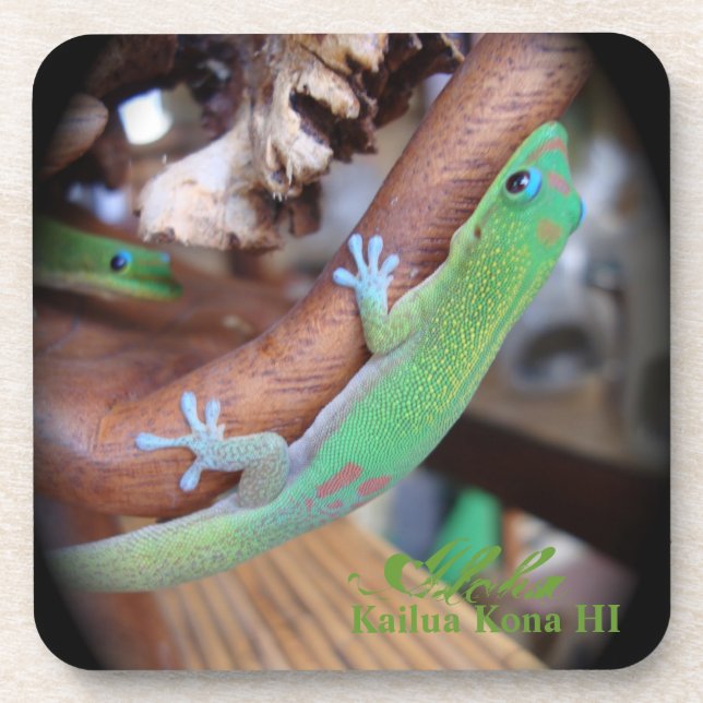 Posavasos Prácticos de costa hawaianos del Gecko del polvo (Frente)