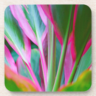 Posavasos Prácticos de costa plásticos duros de la planta
