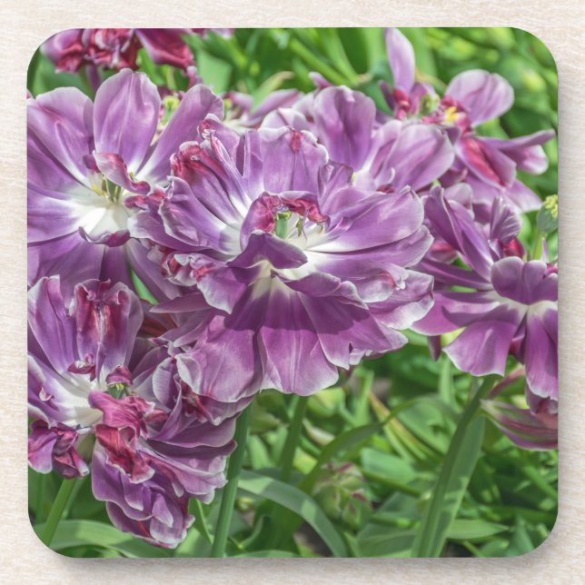 Posavasos Prácticos de costa plásticos duros de las flores (Frente)
