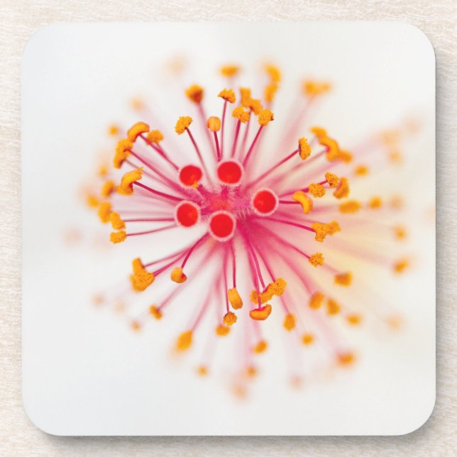 Posavasos Prácticos de costa plásticos duros del hibisco (Frente)