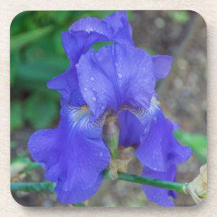 Posavasos Prácticos de costa plásticos duros del iris azul