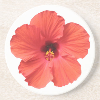 Posavasos Prácticos de costa rojos del hibisco