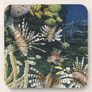 Posavasos Prácticos de costa rojos del Lionfish