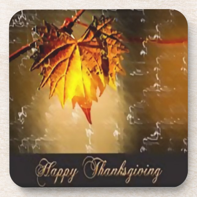 Posavasos prácticos de costa traseros duros, sistema del (Frente)