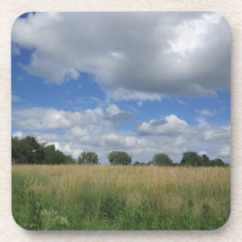 Posavasos Pradera de Iowa del verano