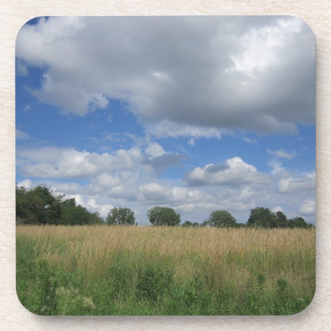 Posavasos Pradera de Iowa del verano (Frente)